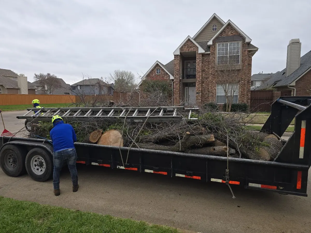 Expert Tree Fertilization with proper safety equipment in Springerville